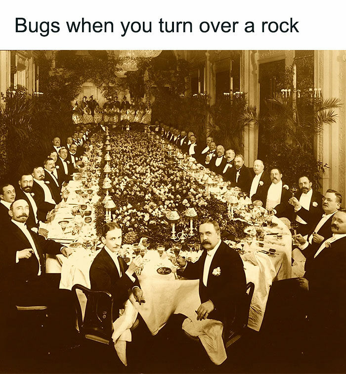 89 Random Images That Make Absolutely No Sense And Are Weird As Hell 89 Random Images That Make Absolutely No Sense And Are Weird As Hell