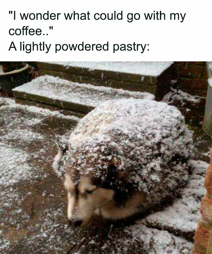 89 Random Images That Make Absolutely No Sense And Are Weird As Hell 89 Random Images That Make Absolutely No Sense And Are Weird As Hell
