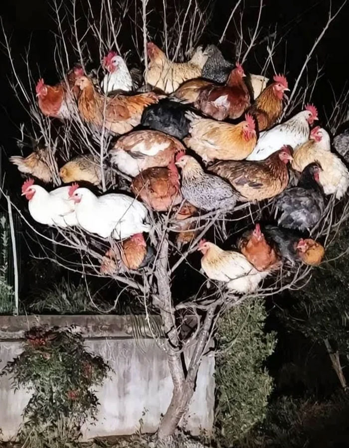89 Random Images That Make Absolutely No Sense And Are Weird As Hell 89 Random Images That Make Absolutely No Sense And Are Weird As Hell
