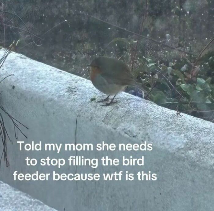 89 Random Images That Make Absolutely No Sense And Are Weird As Hell 89 Random Images That Make Absolutely No Sense And Are Weird As Hell