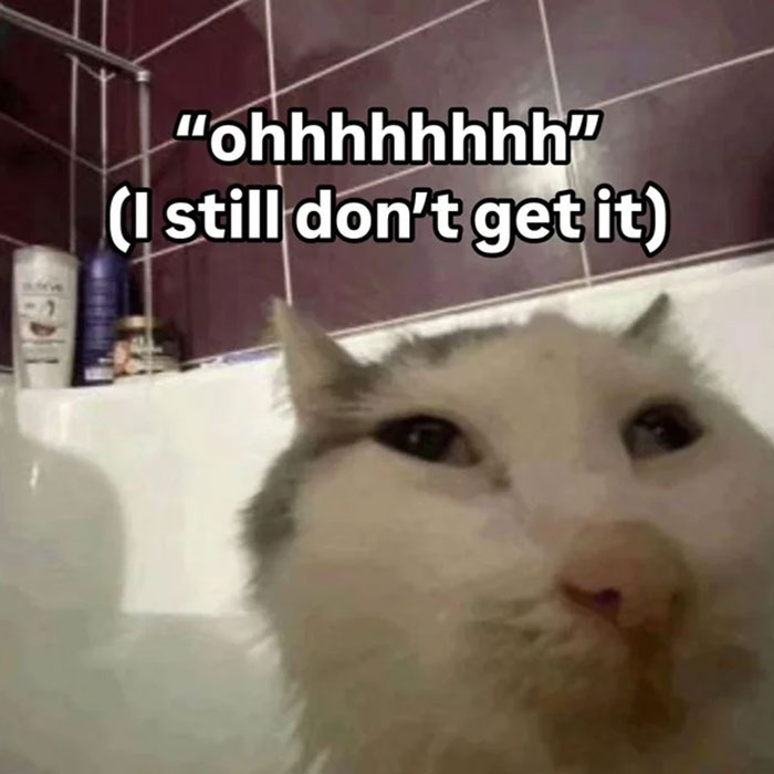 89 Random Images That Make Absolutely No Sense And Are Weird As Hell 89 Random Images That Make Absolutely No Sense And Are Weird As Hell