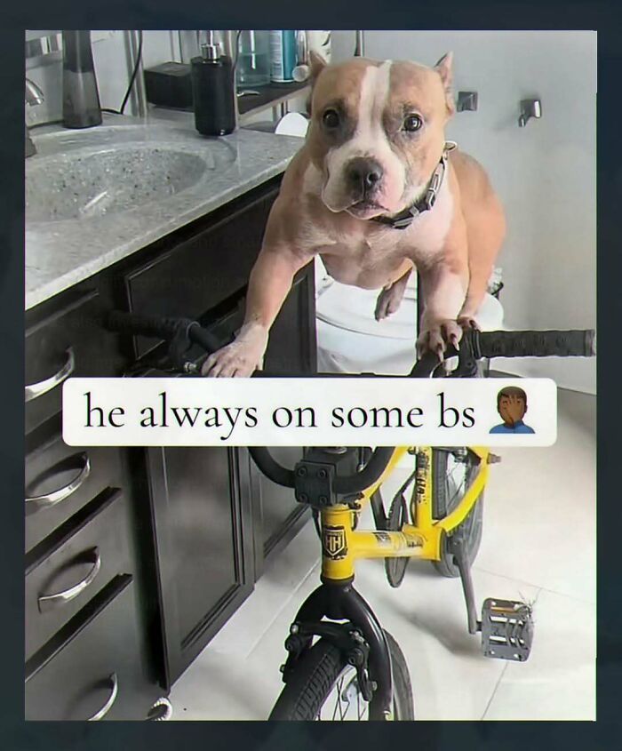 89 Random Images That Make Absolutely No Sense And Are Weird As Hell 89 Random Images That Make Absolutely No Sense And Are Weird As Hell