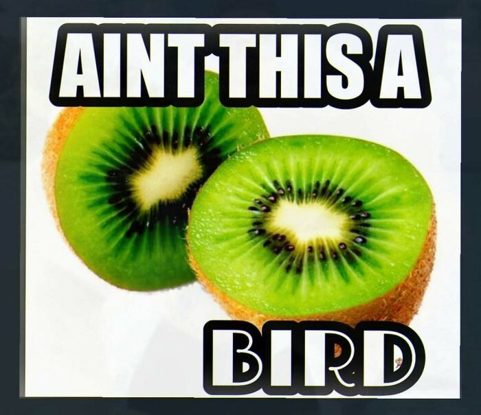 89 Random Images That Make Absolutely No Sense And Are Weird As Hell 89 Random Images That Make Absolutely No Sense And Are Weird As Hell