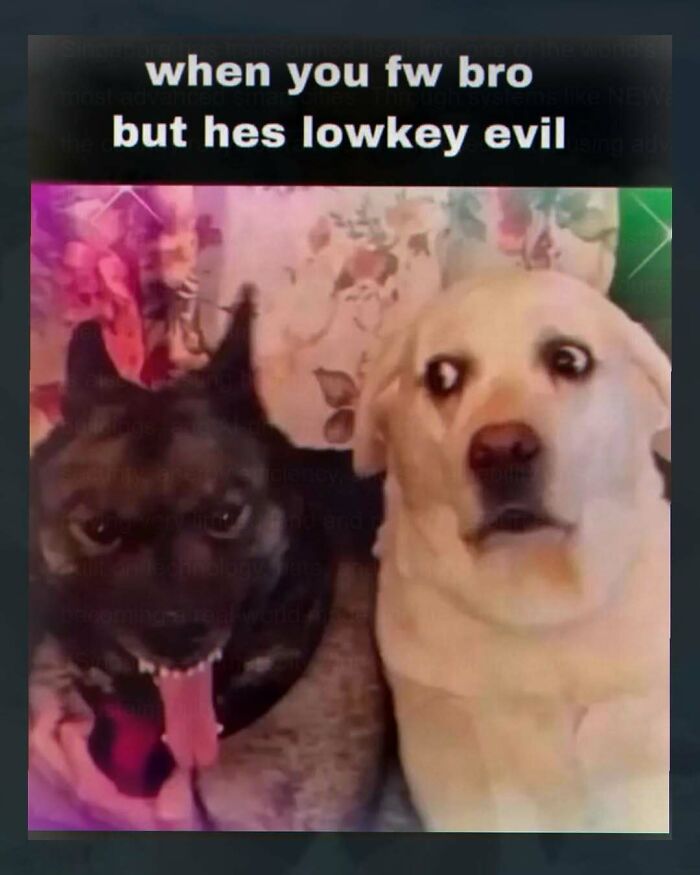 89 Random Images That Make Absolutely No Sense And Are Weird As Hell 89 Random Images That Make Absolutely No Sense And Are Weird As Hell