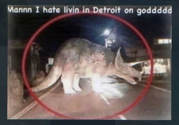 89 Random Images That Make Absolutely No Sense And Are Weird As Hell 89 Random Images That Make Absolutely No Sense And Are Weird As Hell