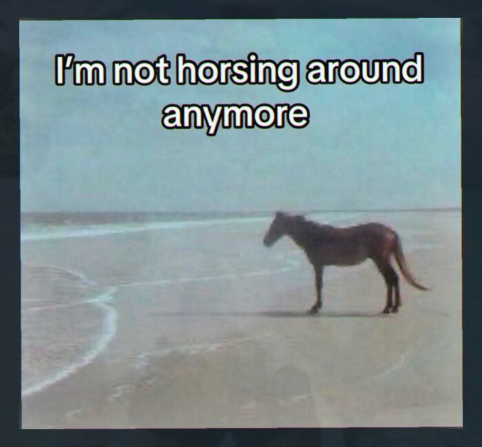 89 Random Images That Make Absolutely No Sense And Are Weird As Hell 89 Random Images That Make Absolutely No Sense And Are Weird As Hell