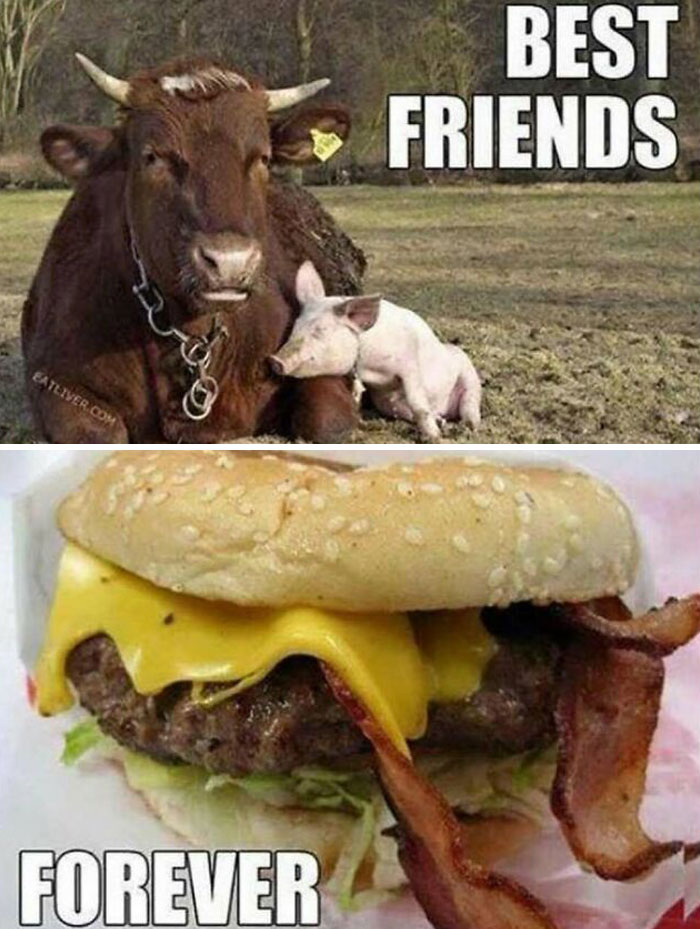 58 Food Memes That Are Absolutely Well Done