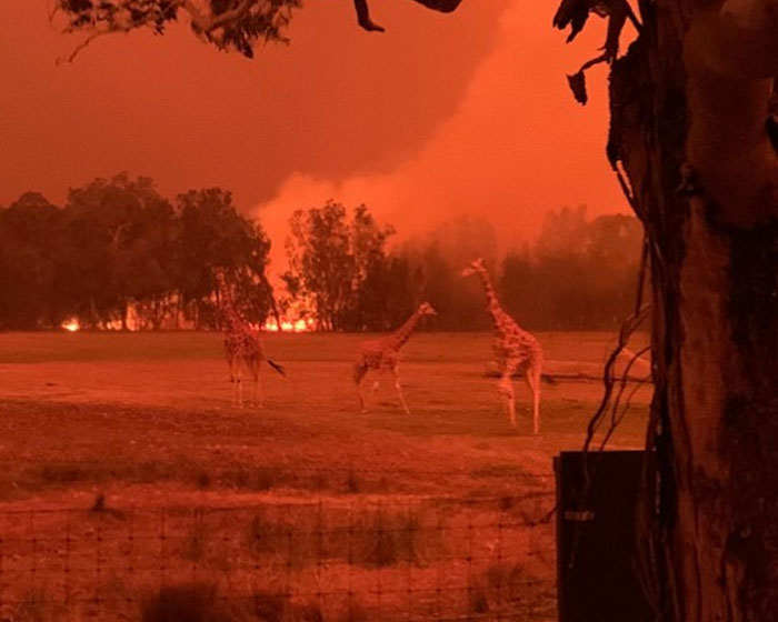 34 People Share The Most Dystopian Photos That Have Ever Been Taken In Their Countries