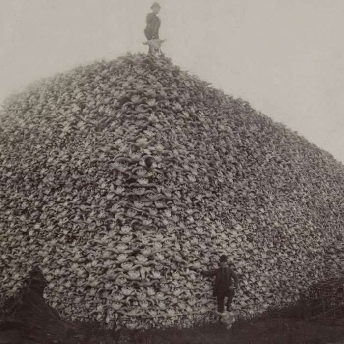 34 People Share The Most Dystopian Photos That Have Ever Been Taken In Their Countries