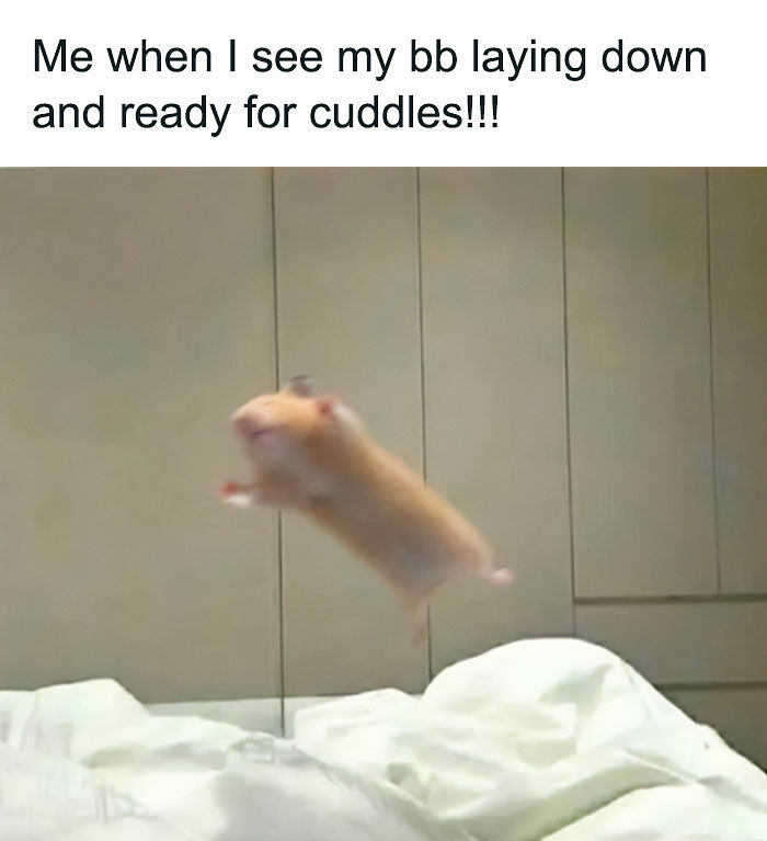 67 Funny And Relatable Couple Memes To Send Your Partner Instead Of Paying For Couple&rsquo;s Therapy