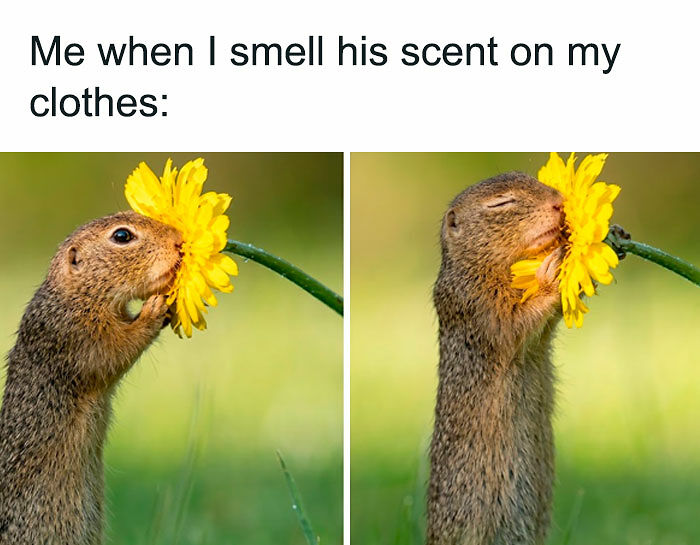 67 Funny And Relatable Couple Memes To Send Your Partner Instead Of Paying For Couple&rsquo;s Therapy