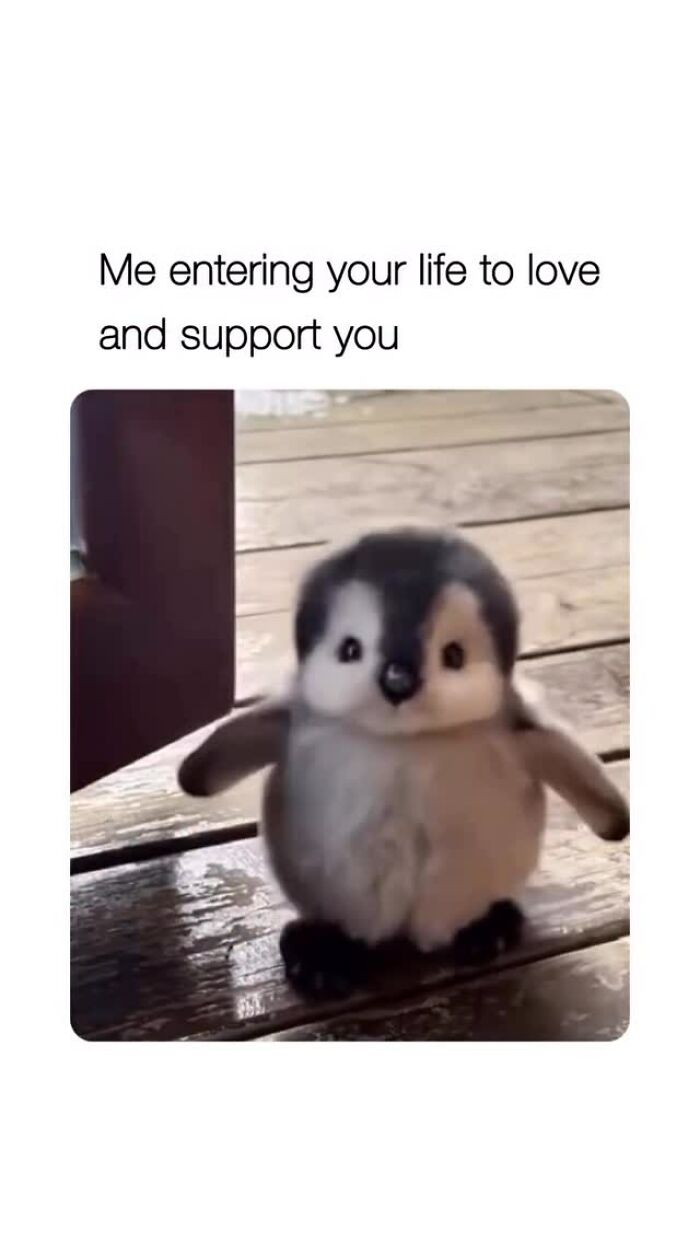 67 Funny And Relatable Couple Memes To Send Your Partner Instead Of Paying For Couple&rsquo;s Therapy