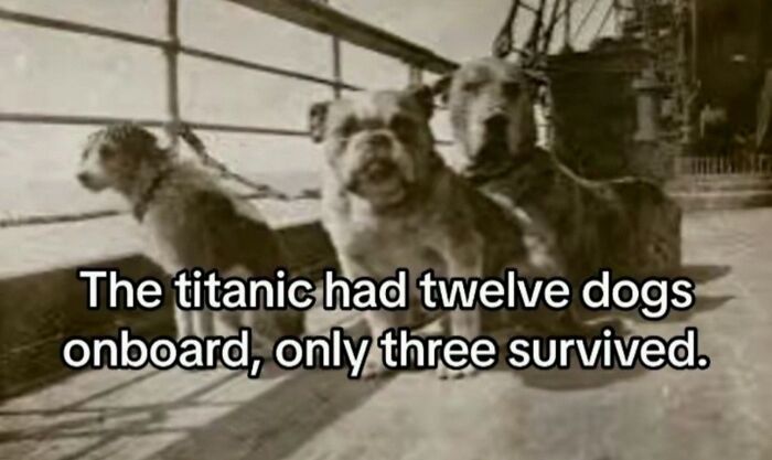 100 Creepy Historical Facts That Sound Too Horrifying To Be Real