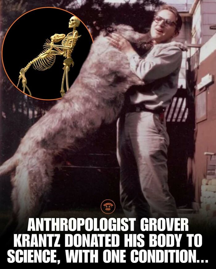 100 Creepy Historical Facts That Sound Too Horrifying To Be Real
