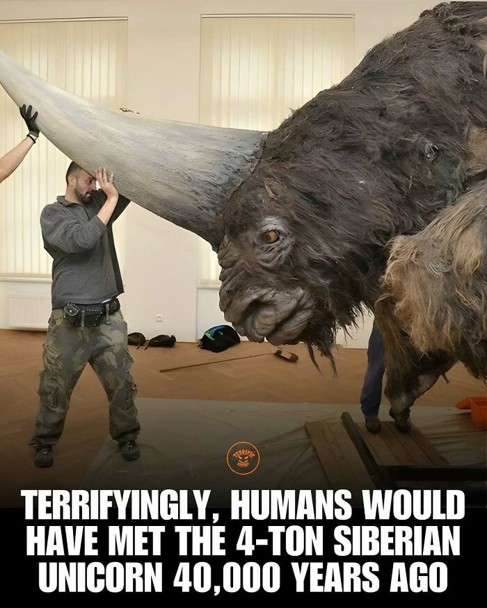 100 Creepy Historical Facts That Sound Too Horrifying To Be Real