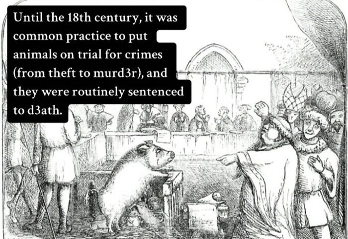 100 Creepy Historical Facts That Sound Too Horrifying To Be Real
