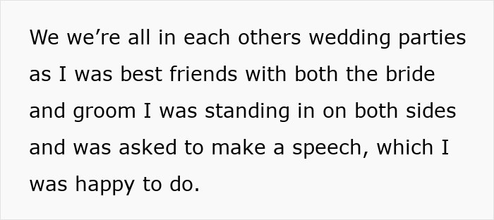 Bridesmaid&rsquo;s Innocent Speech Accidentally Turns Into A Reality Check For MIL From Hell