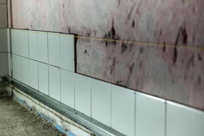 49 Catastrophes And Personal Disasters People Accidentally Avoided By Procrastinating