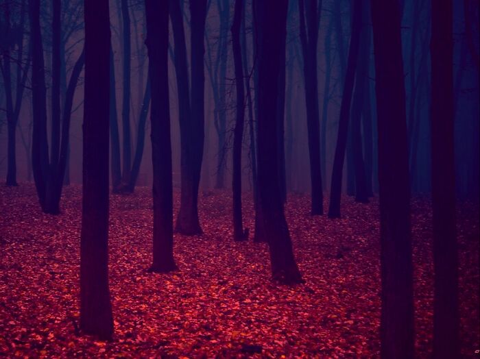 The Backrooms Are Filled With Creepy Liminal Spaces And Horrifying Creatures, Here Are 50 Of The First Levels