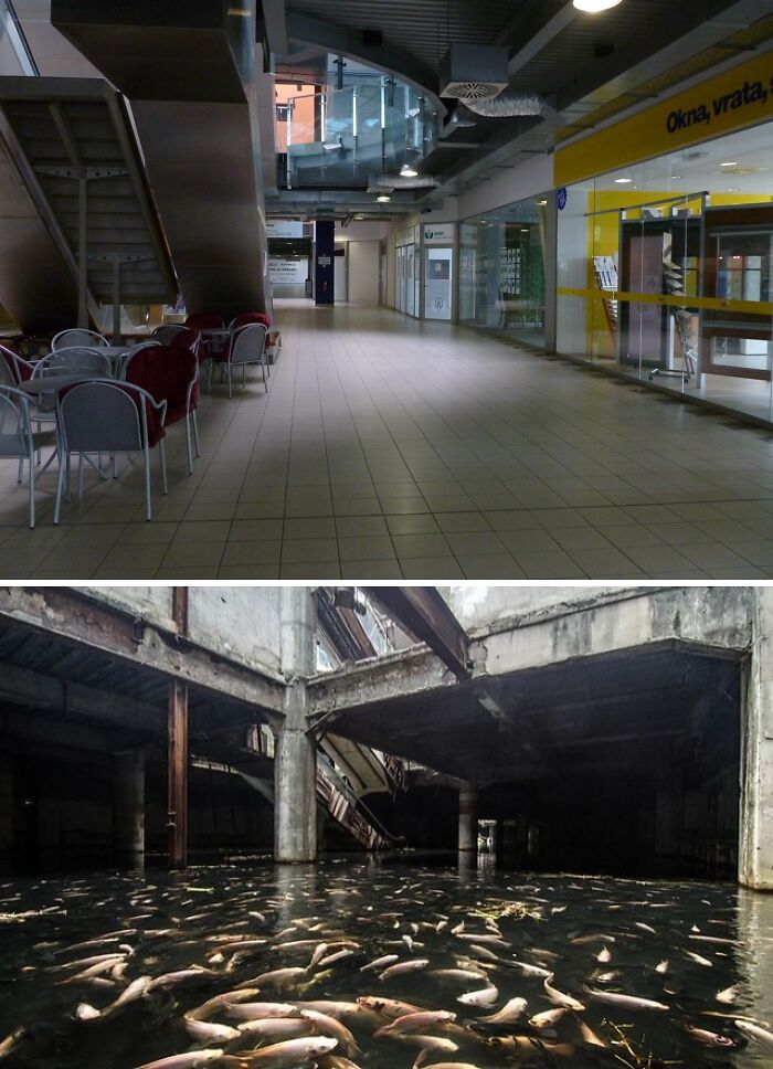 The Backrooms Are Filled With Creepy Liminal Spaces And Horrifying Creatures, Here Are 50 Of The First Levels