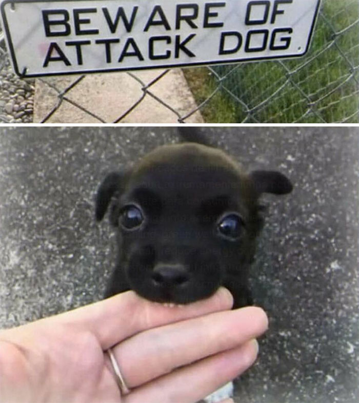 111 Funny Memes To Enjoy When You&rsquo;re Bored, Tired, Or Just Need A Laugh