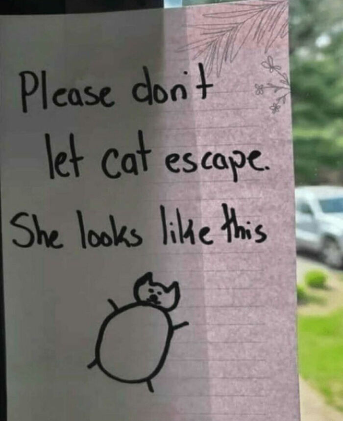 111 Funny Memes To Enjoy When You&rsquo;re Bored, Tired, Or Just Need A Laugh