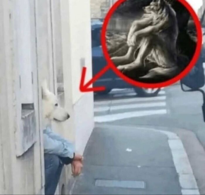 111 Funny Memes To Enjoy When You&rsquo;re Bored, Tired, Or Just Need A Laugh