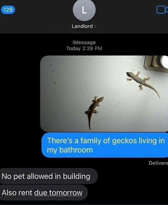 111 Funny Memes To Enjoy When You&rsquo;re Bored, Tired, Or Just Need A Laugh