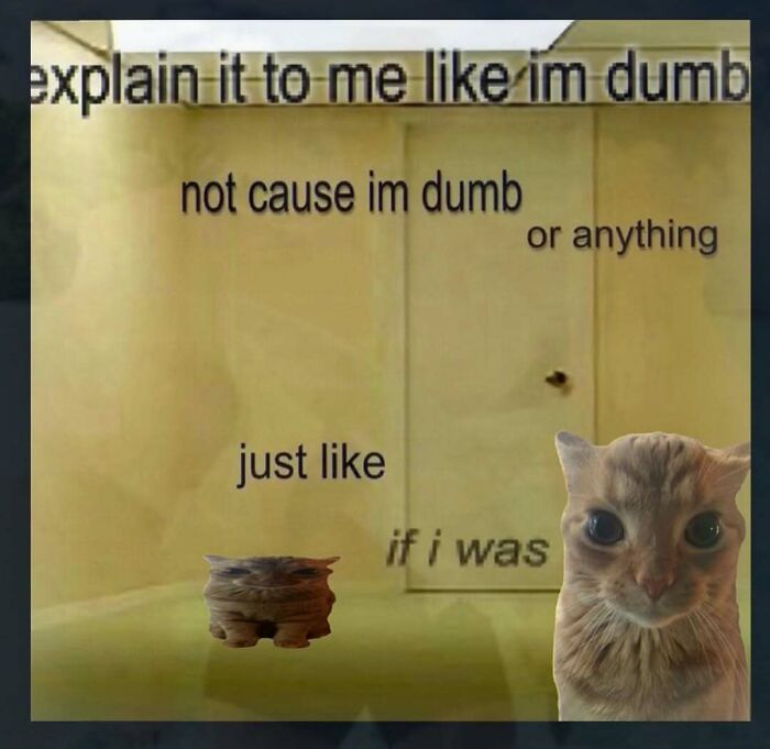 111 Funny Memes To Enjoy When You&rsquo;re Bored, Tired, Or Just Need A Laugh