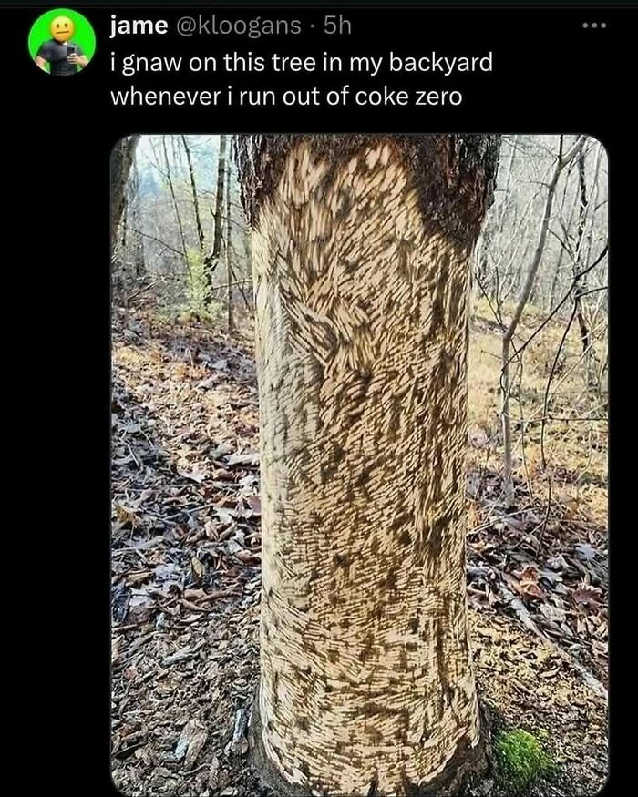 111 Funny Memes To Enjoy When You&rsquo;re Bored, Tired, Or Just Need A Laugh