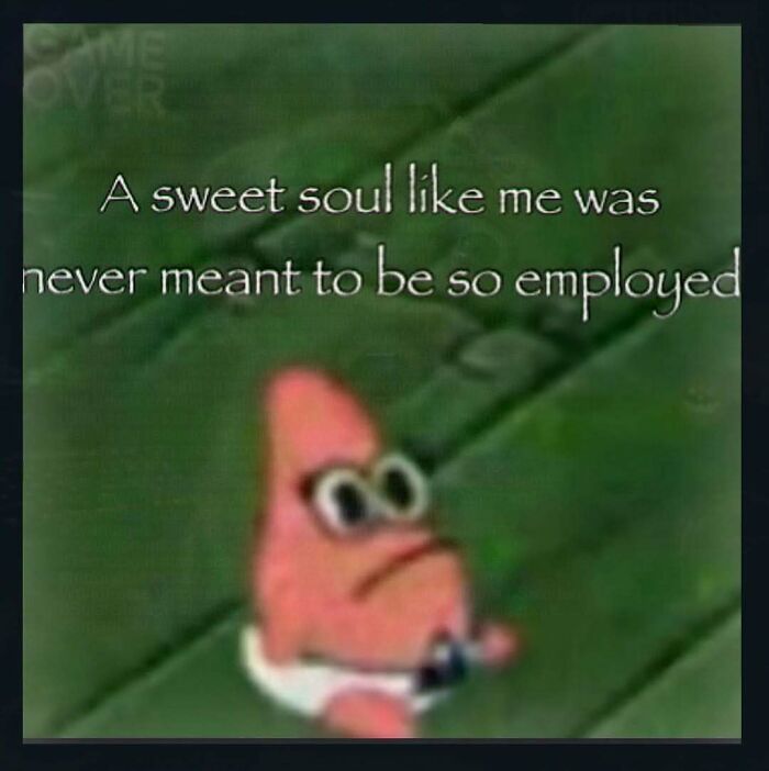 111 Funny Memes To Enjoy When You&rsquo;re Bored, Tired, Or Just Need A Laugh