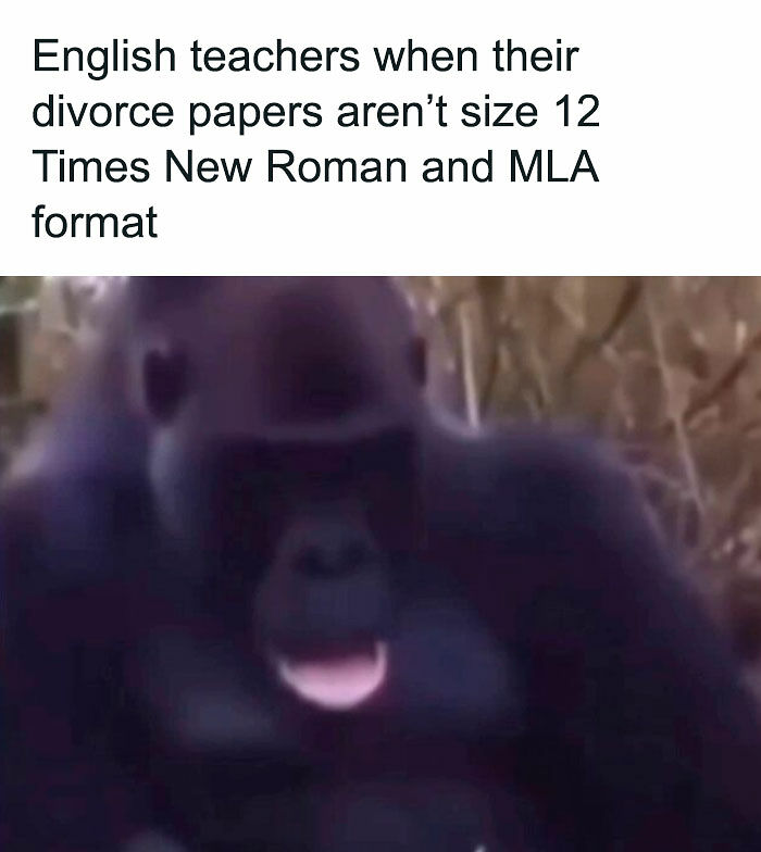 111 Funny Memes To Enjoy When You&rsquo;re Bored, Tired, Or Just Need A Laugh