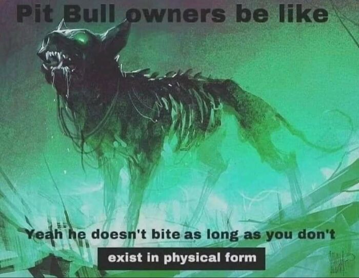 111 Funny Memes To Enjoy When You&rsquo;re Bored, Tired, Or Just Need A Laugh