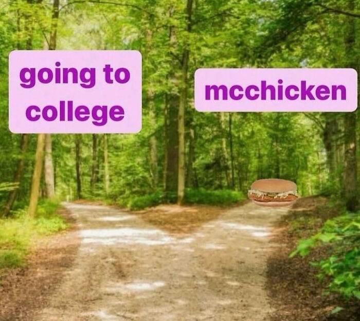 111 Funny Memes To Enjoy When You&rsquo;re Bored, Tired, Or Just Need A Laugh