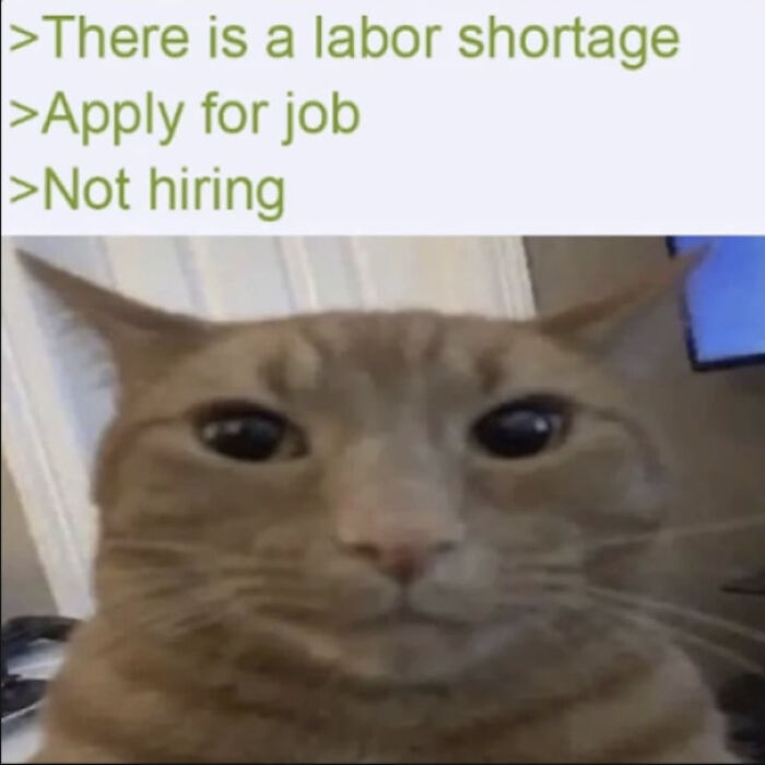 &ldquo;7-Day Work Week. We Will Not Be Outworked&rdquo;: 89 Unhinged Posts Straight Out Of Job-Hunting Hell (New Pics)