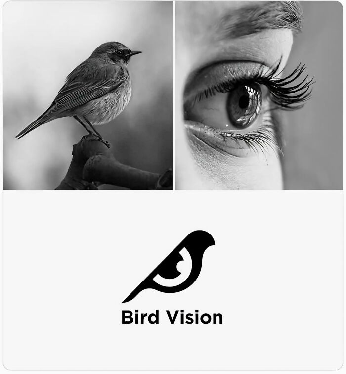 89 Brilliant Designs That Are Probably The Highlights Of Someone&rsquo;s Career (New Pics)
