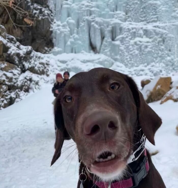 99 Of The Most Amusing Animal Faces To Make Your Day