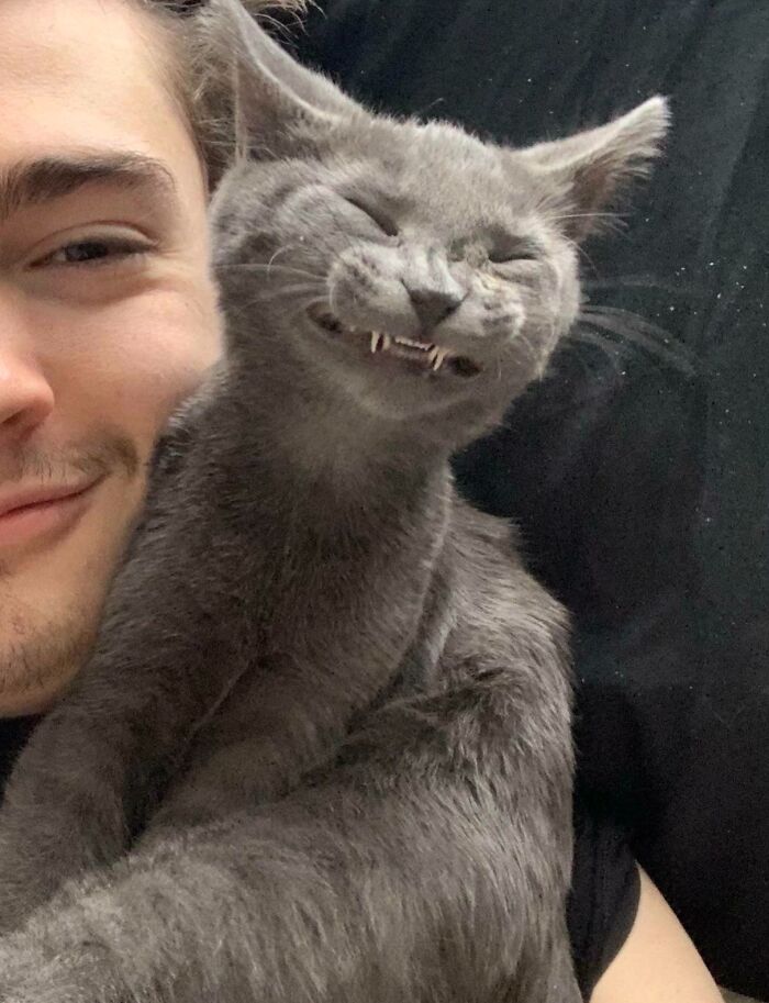 99 Of The Most Amusing Animal Faces To Make Your Day