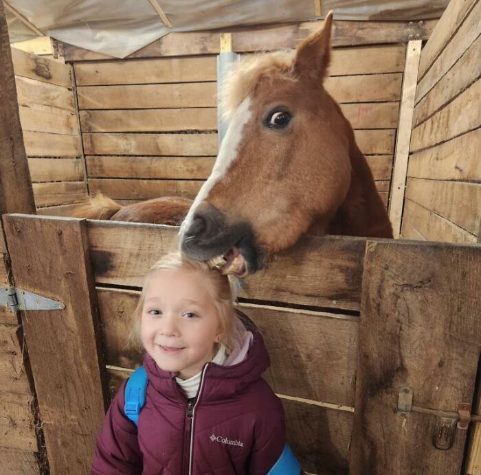99 Of The Most Amusing Animal Faces To Make Your Day