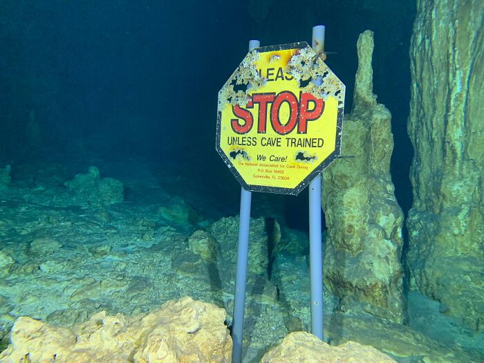 21 Terrifying Stories That Might Make You Never Go Underground Or Underwater 21 Terrifying Stories That Might Make You Never Go Underground Or Underwater