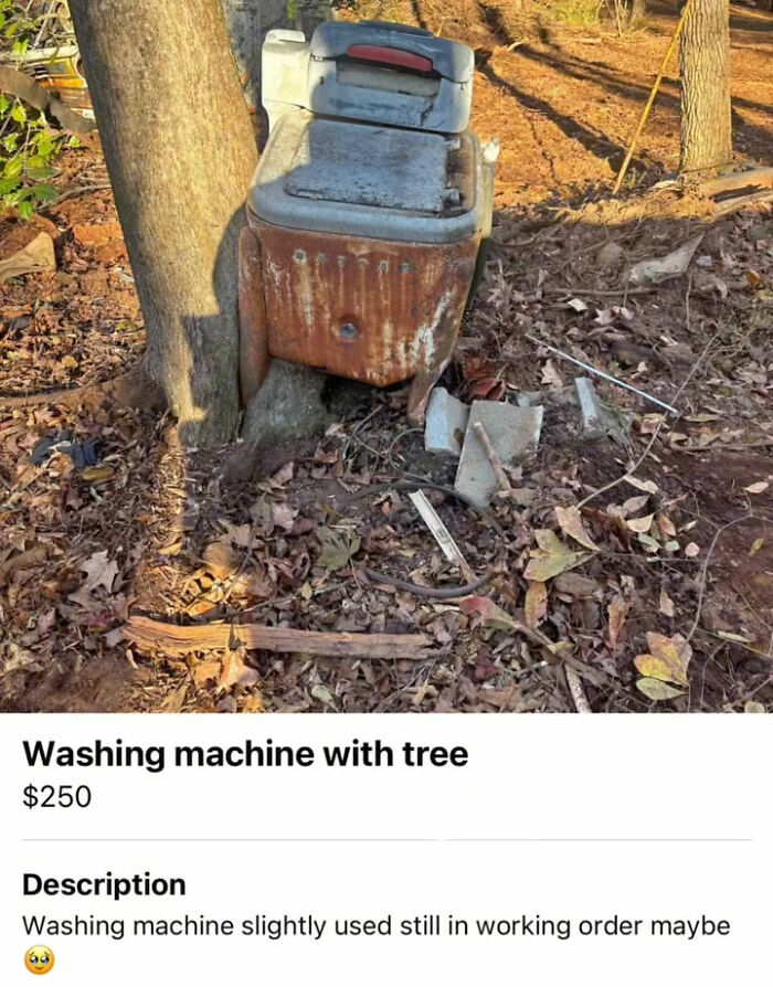 The Appalachian FB Marketplace Is Wild, And Here Are 73 Of Their Most Bizarre Listings
