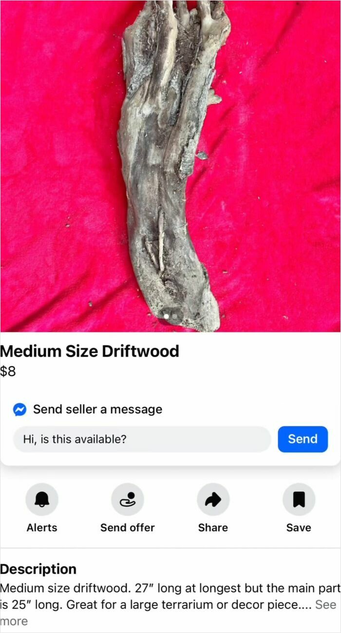 The Appalachian FB Marketplace Is Wild, And Here Are 73 Of Their Most Bizarre Listings