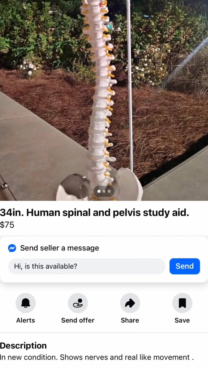 The Appalachian FB Marketplace Is Wild, And Here Are 73 Of Their Most Bizarre Listings