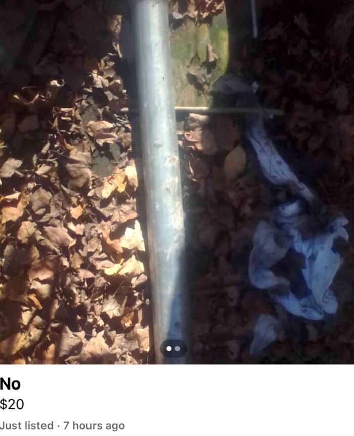 The Appalachian FB Marketplace Is Wild, And Here Are 73 Of Their Most Bizarre Listings