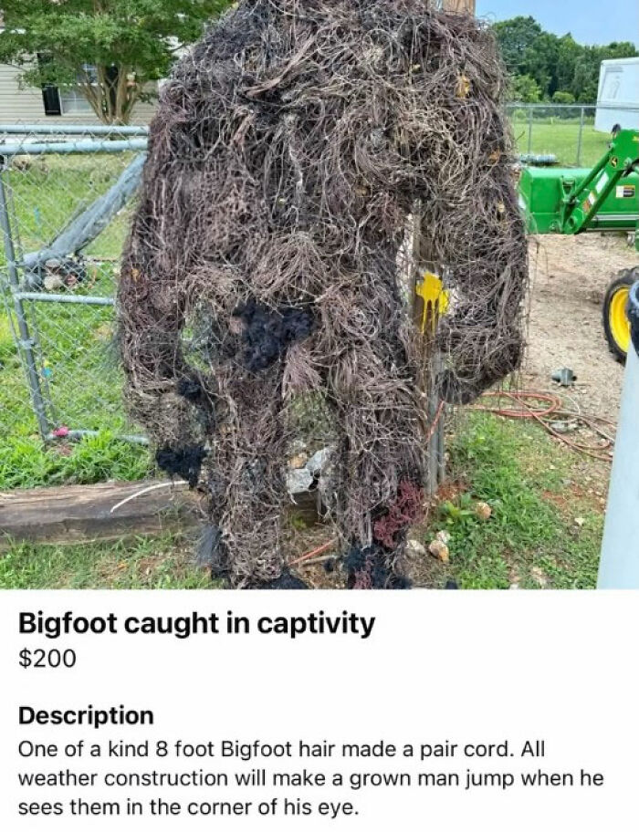 The Appalachian FB Marketplace Is Wild, And Here Are 73 Of Their Most Bizarre Listings