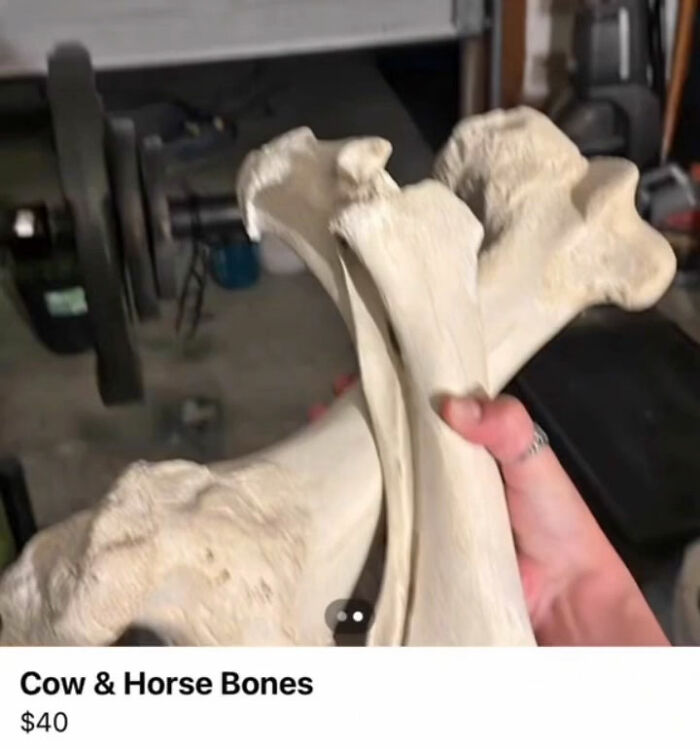 The Appalachian FB Marketplace Is Wild, And Here Are 73 Of Their Most Bizarre Listings
