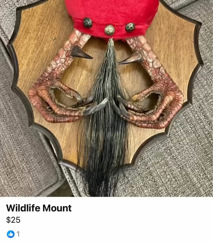 The Appalachian FB Marketplace Is Wild, And Here Are 73 Of Their Most Bizarre Listings