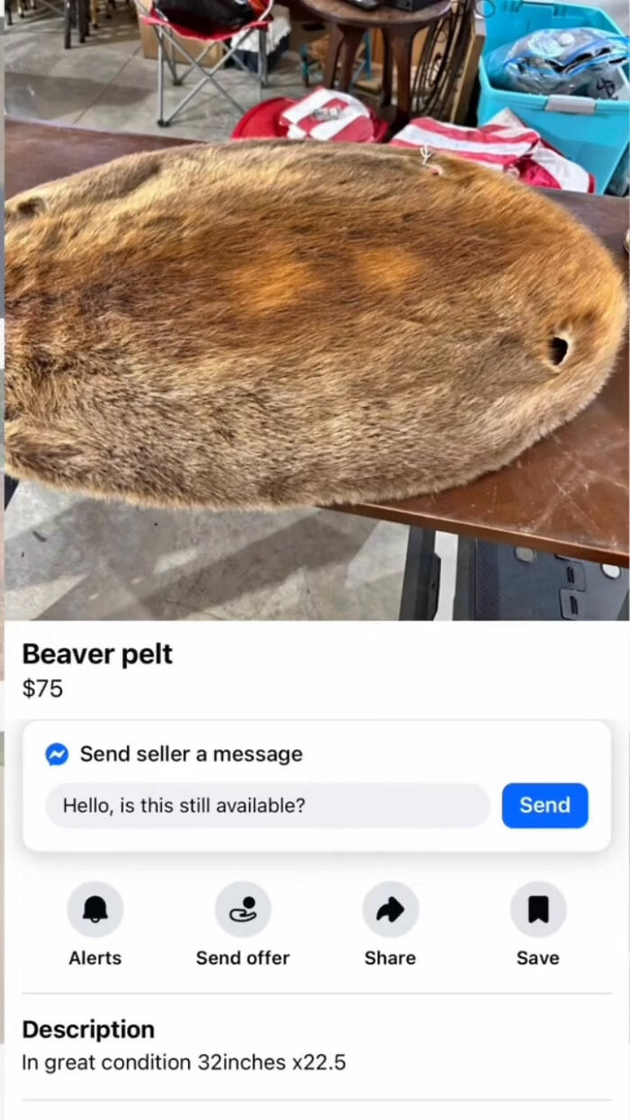 The Appalachian FB Marketplace Is Wild, And Here Are 73 Of Their Most Bizarre Listings