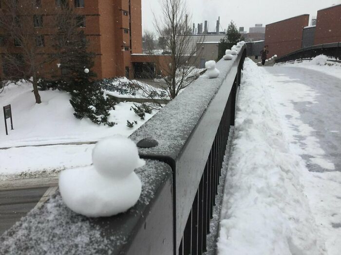 72 Surprisingly Genius Ideas Schools And Universities Have Implemented (New Pics) 72 Surprisingly Genius Ideas Schools And Universities Have Implemented (New Pics)