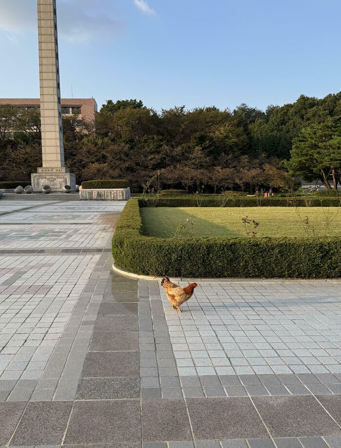 72 Surprisingly Genius Ideas Schools And Universities Have Implemented (New Pics) 72 Surprisingly Genius Ideas Schools And Universities Have Implemented (New Pics)